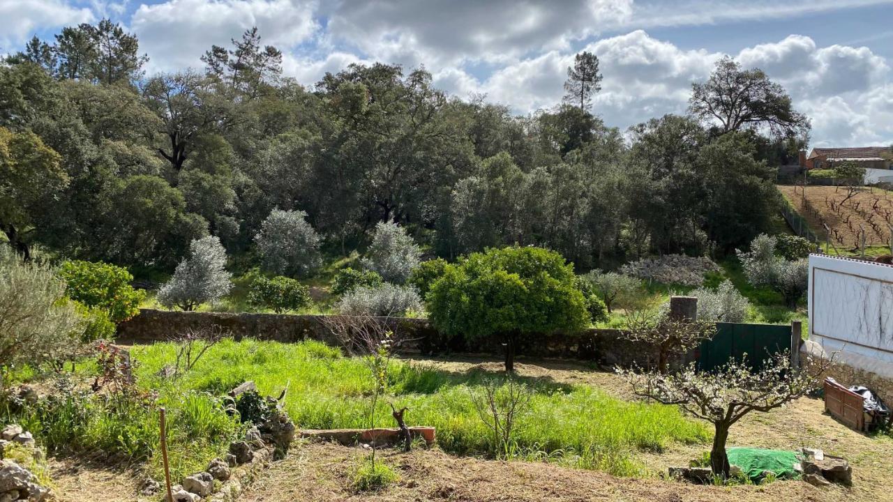 Casalinho In Portugal Country House Tomar Eksteriør bilde